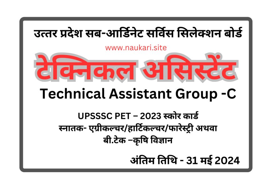 UPSSSC-Technical Assistant Group -C 2024