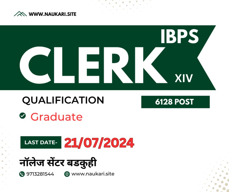 IBPS CRP Clerk XIV 6128 Post